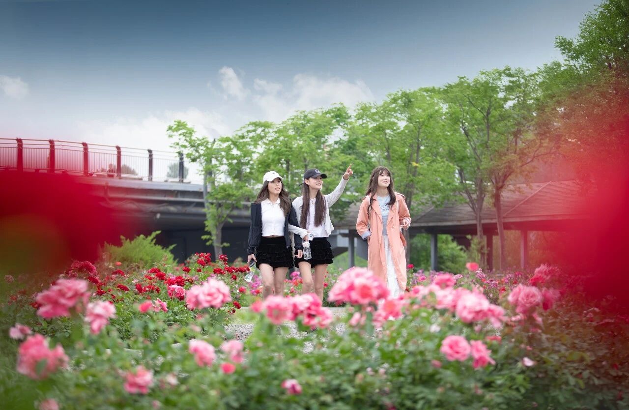 春日渐暖，心需向阳 | 致家长：这篇春季心理关怀指南，请务必收藏