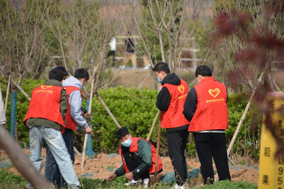 “温暖洛科，劳动最美”春季校园落叶清扫志愿活动启动